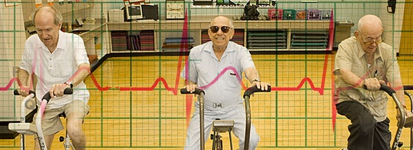 máy tập thể dục cho người già